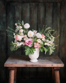 Cosmos 'Double Click Bicolor Pink'