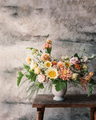 Sunflower 'ProCut® White Lite'