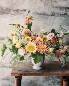 Yarrow 'Summer™ Pastels'