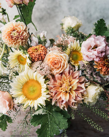 Zinnia 'Queeny Lime Orange'