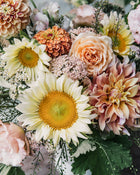 Yarrow 'Summer™ Pastels'