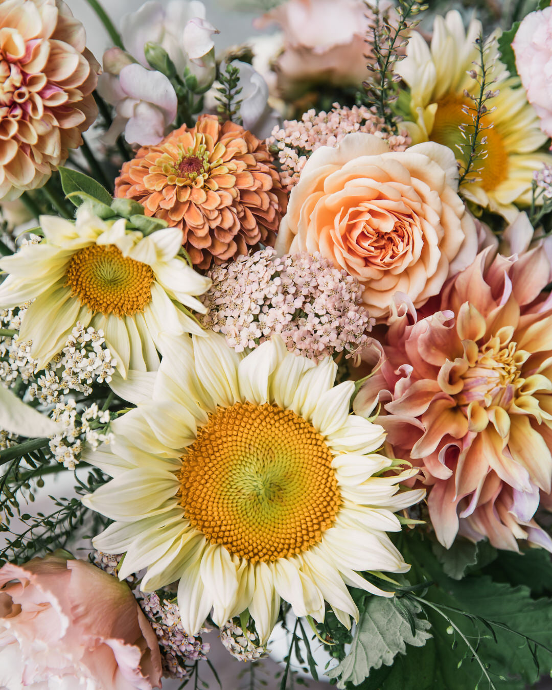 Yarrow 'Summer™ Pastels'