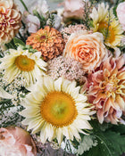 Yarrow 'Summer™ Pastels'