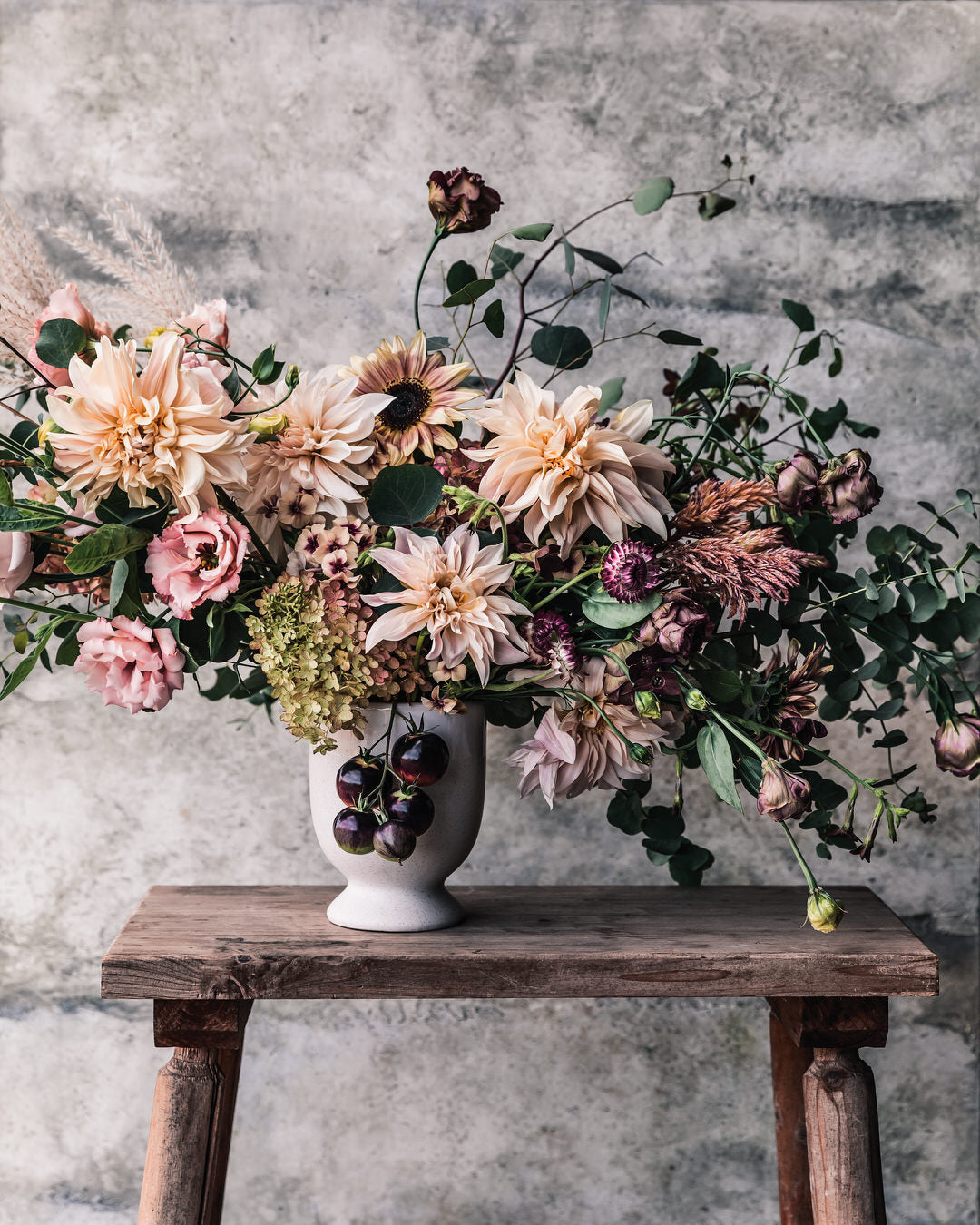 Eucalyptus 'Silver Plate'