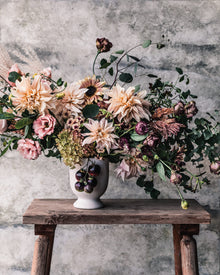 Eucalyptus 'Silver Plate'