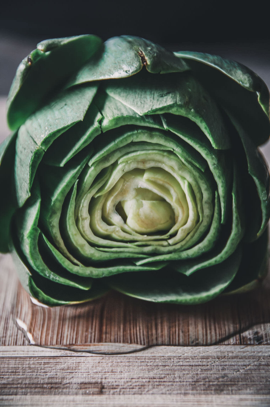 Artichoke Imperial Star Garden