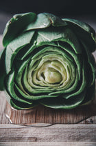 Artichoke Imperial Star Garden