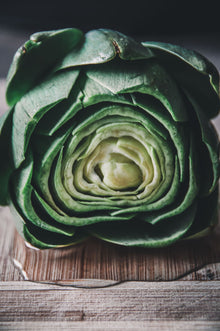 Artichoke Imperial Star Garden