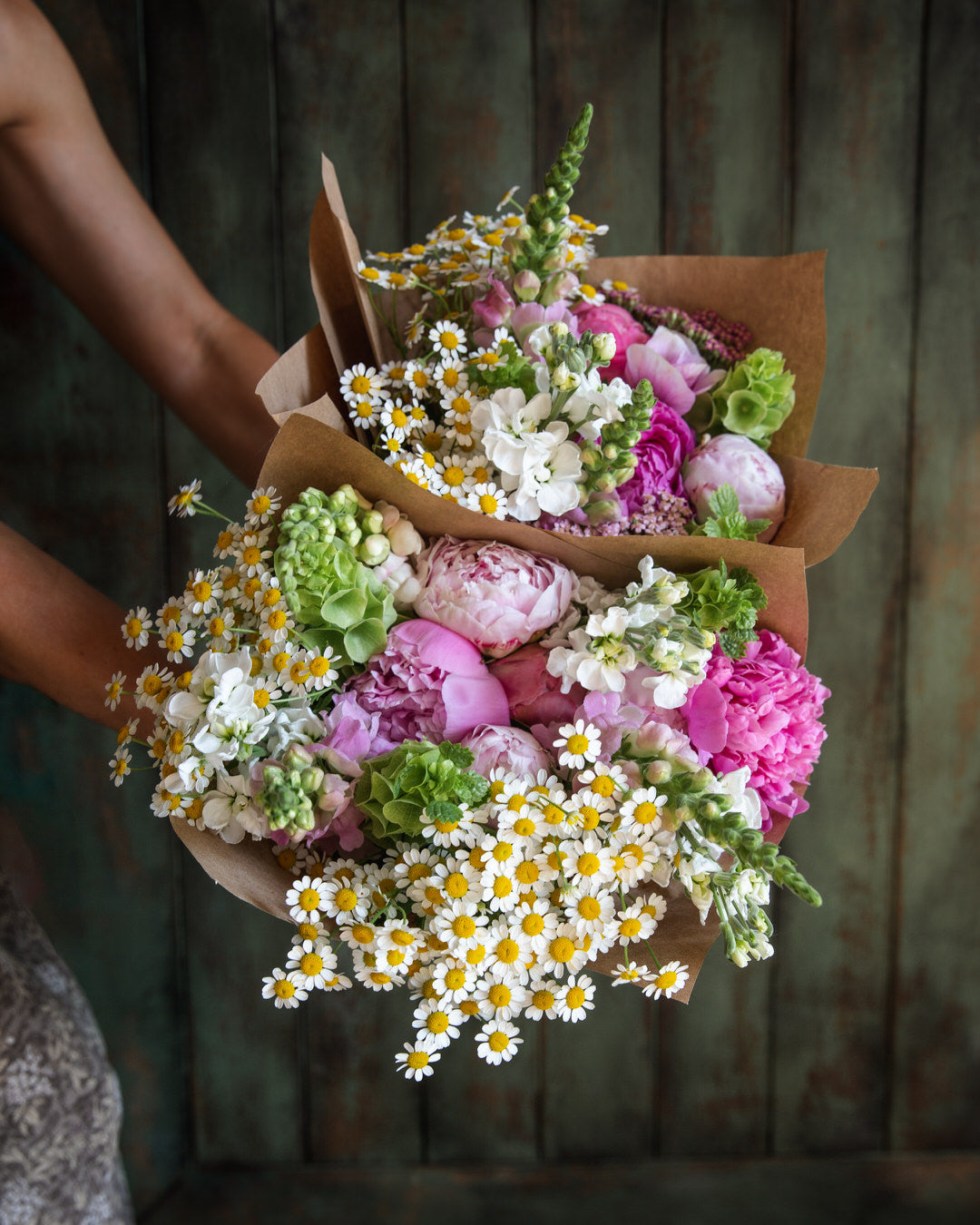 Feverfew 'Vegmo Single'