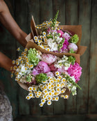 Feverfew 'Vegmo Single'
