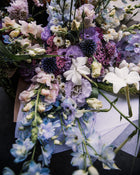 Snapdragon 'Avignon (Costa) Silver II'