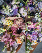 Yarrow 'Summer™ Pastels'