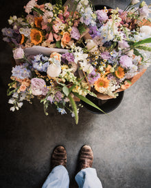 Snapdragon 'Chantilly™ Light Salmon'