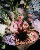 Sunflower 'ProCut® Plum'