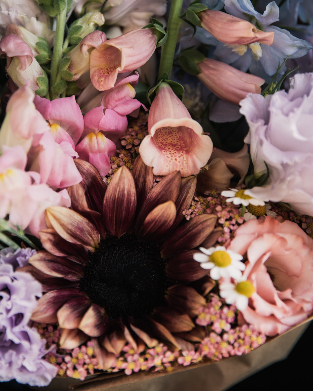 Sunflower 'ProCut® Plum'