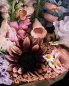 Sunflower 'ProCut® Plum'