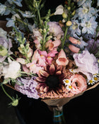 Sunflower 'ProCut® Plum'