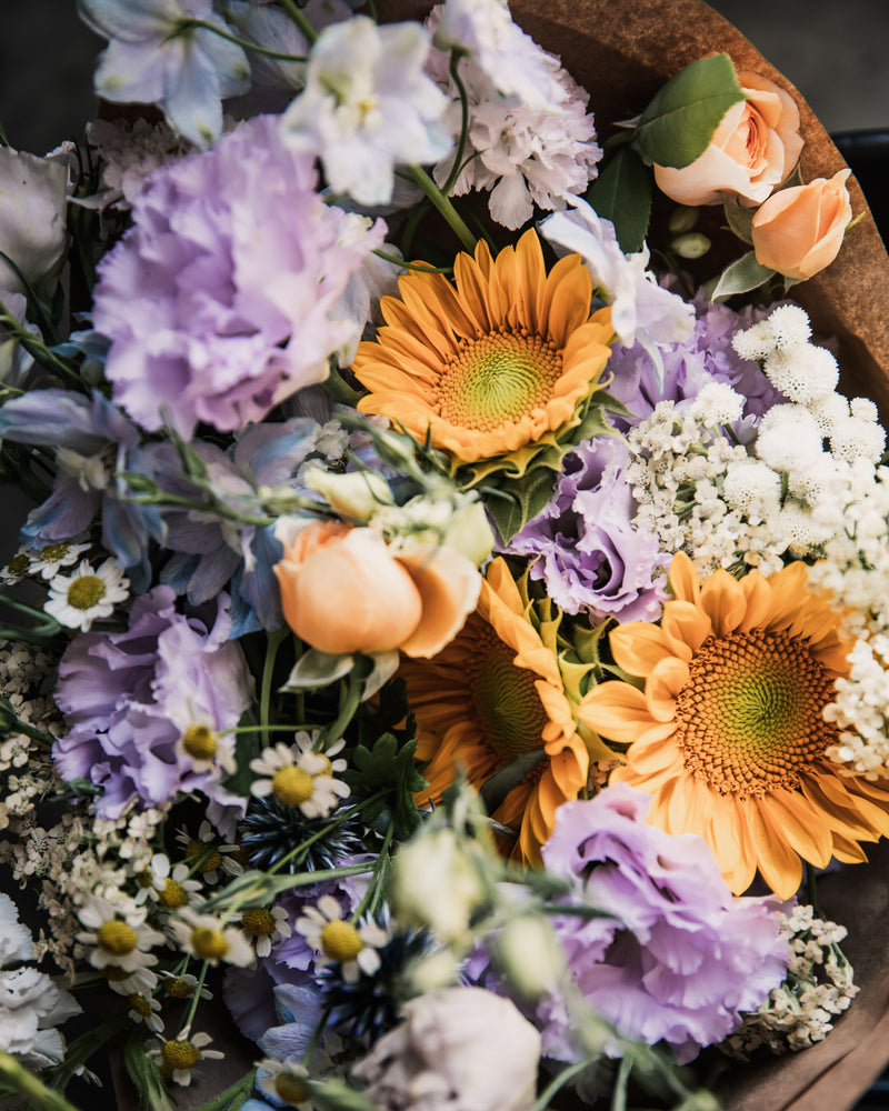 Sunflower 'ProCut® Gold Lite DMR'