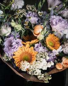 Sunflower 'ProCut® Gold Lite DMR'