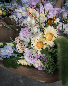 Sunflower 'ProCut® White Lite'