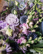 Snapdragon 'Legend™ Light Pink'