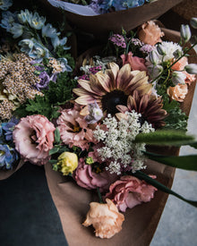 Sunflower 'ProCut® Plum'