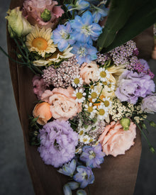 Delphinium 'Magic Fountains Sky Blue White Bee'
