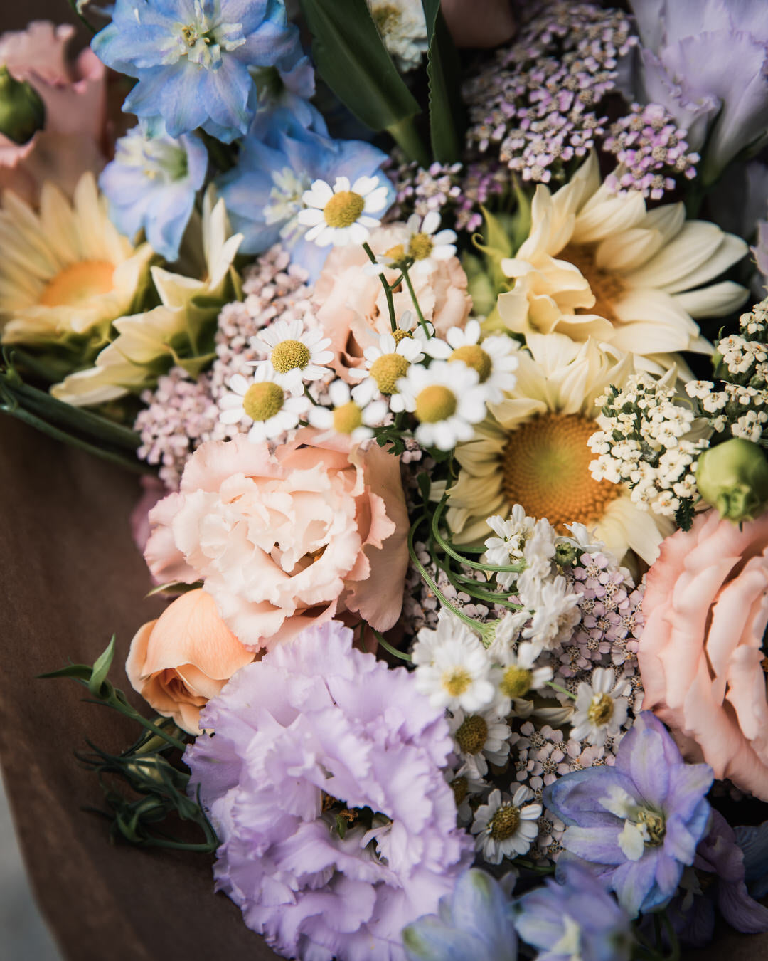 Feverfew 'Vegmo Single'