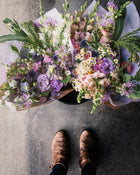 Snapdragon 'Avignon (Costa) Silver II'