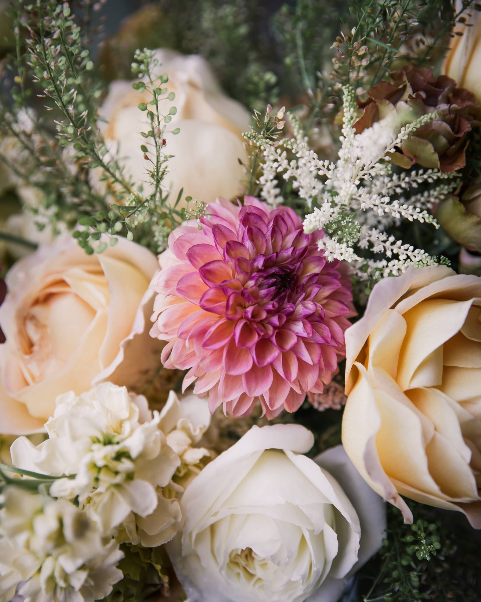 Dahlia Wine Eyed Jill