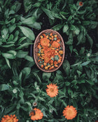 Calendula Alpha Medicinal