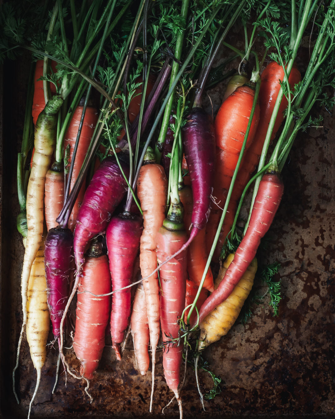Carrot 'Glow Stix Sunrise Mix'