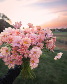 2026 PBF Photography Calendar: Botanical Alchemy (Worldwide Shipping Available)