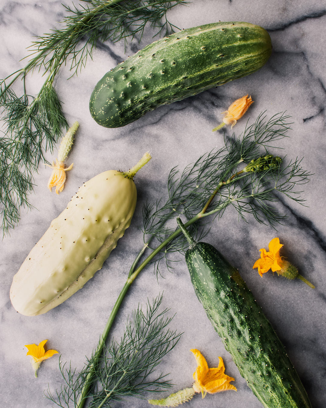 Cucumber 'Max Pack'