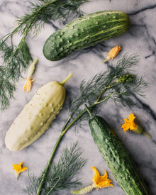 Cucumber 'Max Pack'