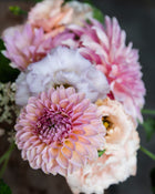 dahlia cupcake petal back farm