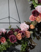 Scabiosa 'Starflower'