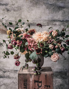 Nicotiana 'Bronze Queen'