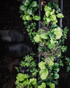 Greens 'Premium Greens Mix'