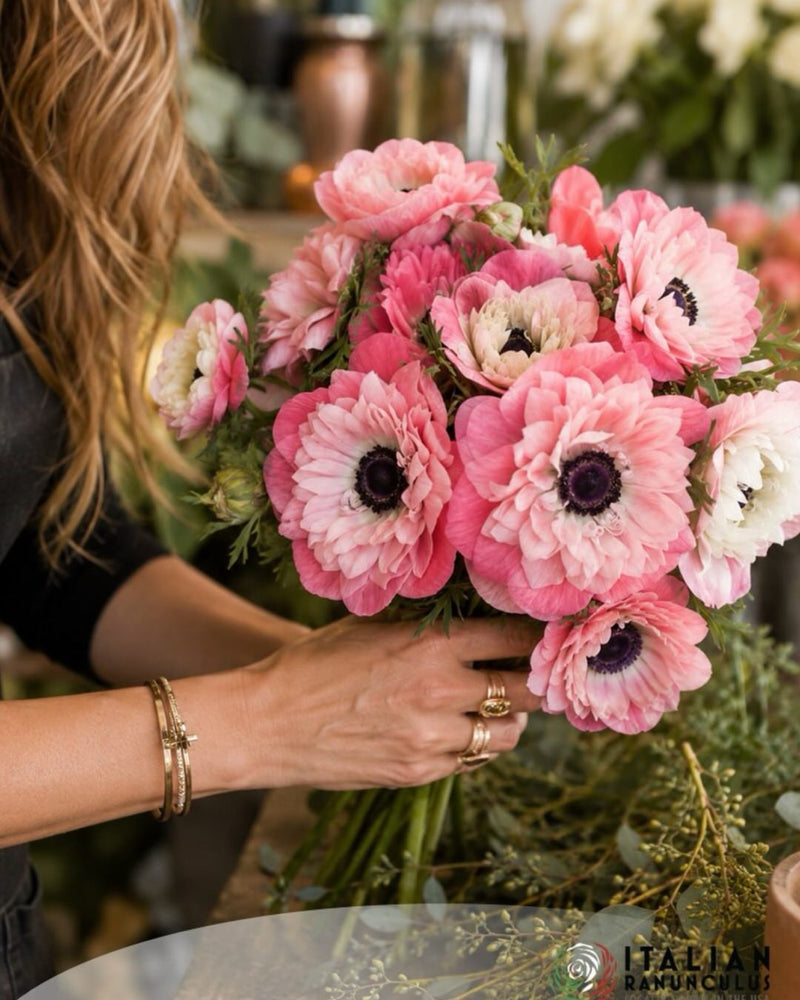 Anemone Italian Levante Rosa®