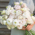 Lisianthus 'Voyage 2 First Love' Pelleted Seed