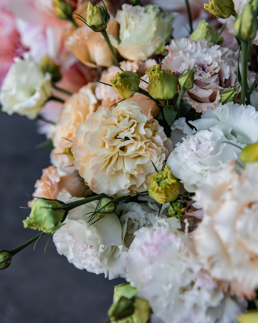 Lisianthus 'Voyage 2 Light Apricot' Pelleted Seed