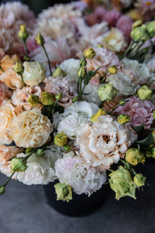 Lisianthus 'Voyage 2 First Love' Pelleted Seed