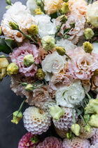 Lisianthus 'Voyage 2 First Love' Pelleted Seed