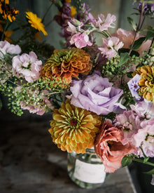Zinnia 'Queeny Lime Orange'