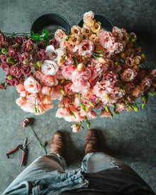 Lisianthus 'Arena III Apricot' Pelleted Seed
