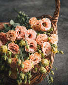 Lisianthus 'Sabrina 1 Orange' Pelleted Seed