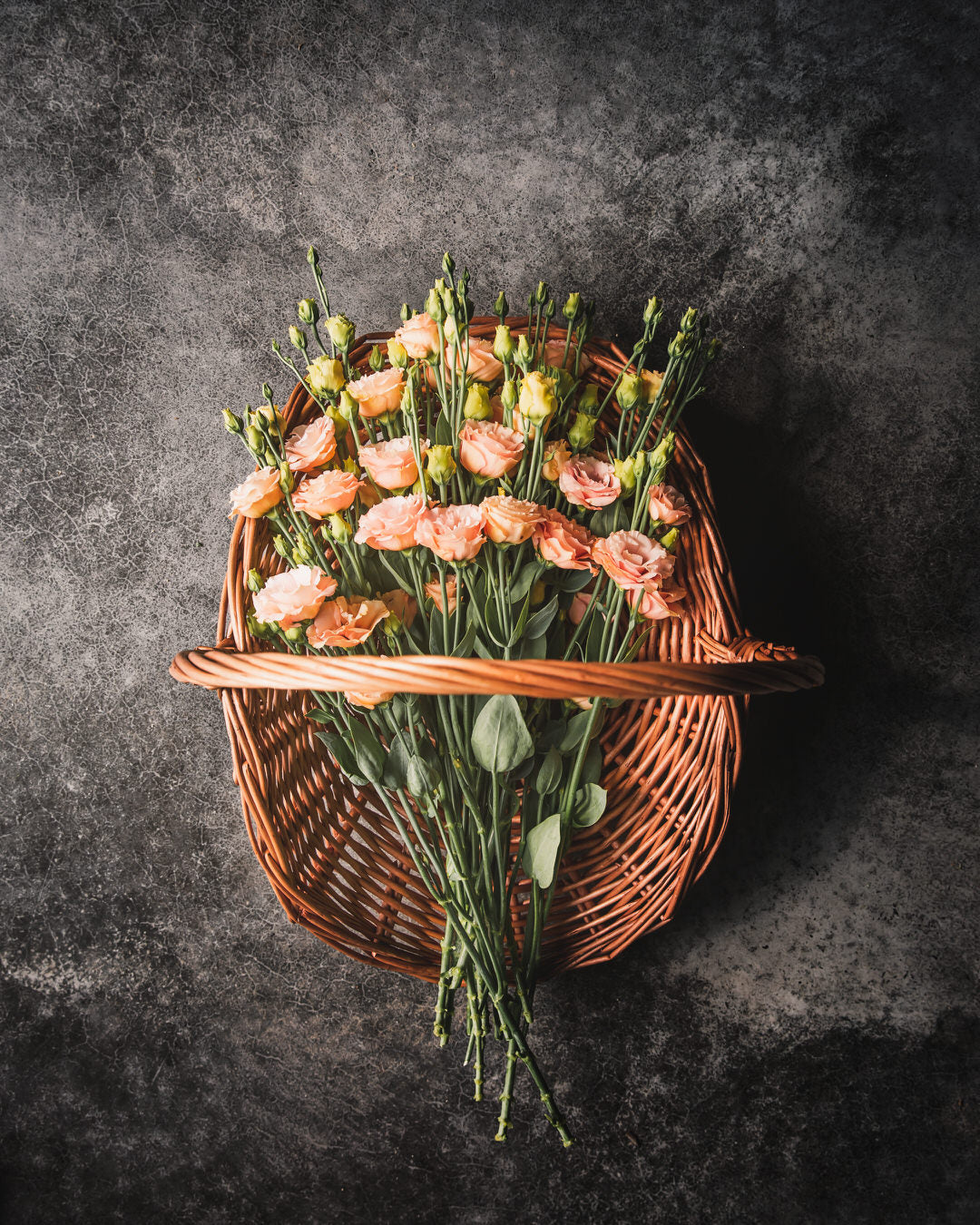 Lisianthus 'Sabrina 1 Orange' Pelleted Seed