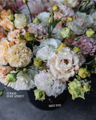 Lisianthus 'Voyage 2 Light Apricot' Pelleted Seed