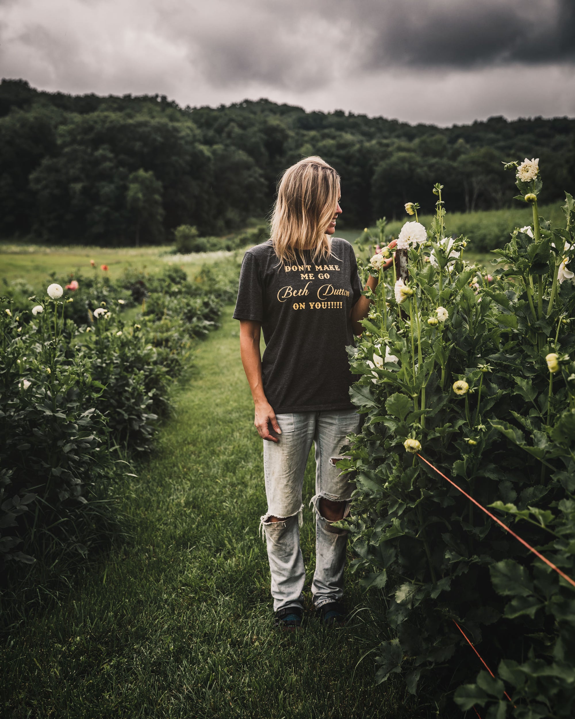 Dahlia Irish Ruffles Tuber Sale